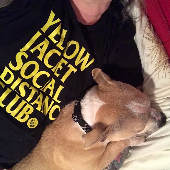 Hi! I’m Sandi & I love all things vintage & 🐶😻 - Picture 12 of 12